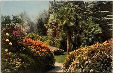 Giardino Della Villa Carlotta Vegetazione Subtropicale Postcard Unposted Vintage picture