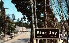 Blue Jay Lake Arrowhead California 1967 Chrome Postcard B82 picture