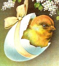 c1911 Antique Easter Postcard BB London Darling Chick In A Bow Wrapped Egg  A46 picture
