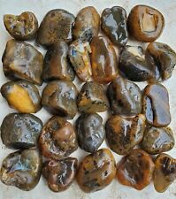 25 Lbs Better Cabbing Grade Montana Yellowstone River Agate Stone Nodules 2 picture