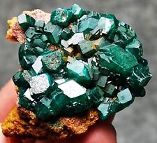 30g Top Natural Green Dioptase Emerandine Gem Cluster Mineral Specimen Congo picture