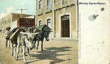 Udbk Mexico Postcard M348 mexican Express Wagons Man with Donkeys Mules Burros picture
