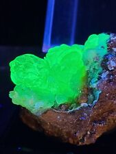  Fluorescent Hyalite Opal with Chalcedony (Guanajuato, Mexico) 0090 picture