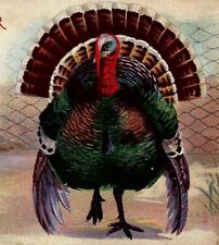 c1915 THANKSGIVING CHEER TURKEY POEM FENCE FOOD PAY COLORFUL POSTCARD 34-74 picture