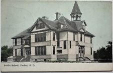 Public School Parker South Dakota Postcard picture
