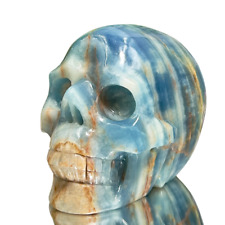 Blue Onyx Hollow Jaw Skull Healing Crystal Carving 1110g picture