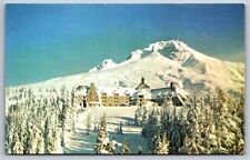 Postcard Chrome Timber Line Lodge Mount Hood Oregon Winter Snow picture