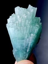 110 Carat Tourmaline Crystal Bunch Specimen From Afghanistan picture
