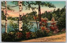 Nature at Its Best - Lake Winnipesaukee - Weirs Beach - Laconia, NH - Postcard picture