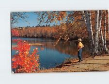 Postcard Autumn Nature Scene picture