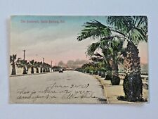 Vtg. The Boulevard, Santa Barbara Cal. 1909 M. Rieder Postcard 6654 picture