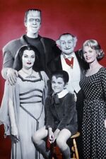 The Munsters Herman,Lily,Eddie,Grandpa,Marilyn family pose 24x36 inch Poster picture