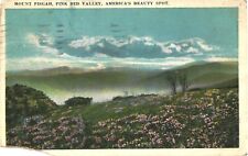 Mount Pisgah, Pink Bed Valley, America's Beauty Spot, North Carolina Postcard picture