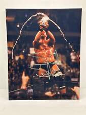 Stone Cold Steve Austin Beer Chug Signed Autographed Photo Authentic 8X10 COA picture