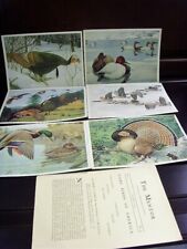 1906 rare antique original colorful birds 6 art prints lot with pamphlet fv1607 picture