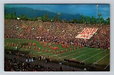 Pasadena CA-California, Rose Bowl, Vintage Postcard picture