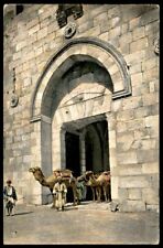 Judaica Palestine Old Postcard Jerusalem David's Gate with Camels picture