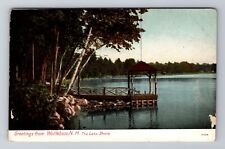 Wolfeboro NH- New Hampshire, The Lake Shore, Antique, Vintage Souvenir Postcard picture
