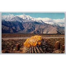 Postcard A Springtime Contrast On The Desert Barrel Cactus picture