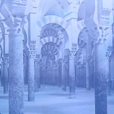 c.1900s Glass Plate Negative Labyrith of Columns, Mosque of Cordoba, Spain  4x5 picture