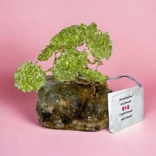 Small Decorative Bonsai Tree of Peridot on Fluorite Minerals Handmade Canada picture