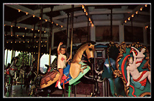 Vintage Postcard Roseland Park On Canandaigua Lake  Boy on Carousel Unposted picture
