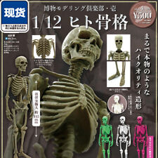 SOTA 1/12 Simulation 4PCS SET Skeleton Gashapon Toy Scene Decor Collection picture
