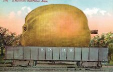 Exaggeration Postcard,Mammoth Bellflower Apple,Pacific R.R.Car,Mitchell,c.1909 picture