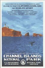 Postcard Channel Island National Park California NPS Robert B. Decker UNP B2889 picture