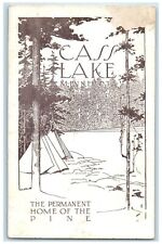 c1920's The Permanent Home Of The Pine Cass Lake Minnesota MN Vintage Postcard picture