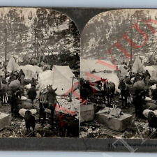 c1900s Sheep Camp Alaska Pioneer Village Tent Real Photo Stereoview Horse AK V45 picture
