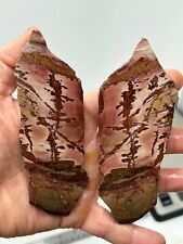 Dead Camel Dendritic Jasper slabs Cabbing Lapidary Collecting Combo Ship Avail picture