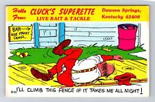 Dawson Springs KY-Kentucky, Superette, Live Bait & Tackle, Vintage Postcard picture