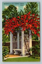 FL-Florida, Bougenvilla In Bloom In A Florida Garden Vintage Souvenir Postcard picture