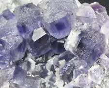 1.54LB purple Fluorite&yellow Quartz crystal mineral,Fujian,China picture