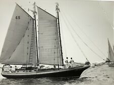AhB) Found Photo Photograph Artistic Sailboat Named COASTER Beautiful  picture