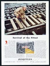 1943 Treat Island Maine photo US Army engineer Hercules Powder vintage print ad picture