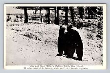 Little Hog Island MI-Michigan, Jim & Mort Miller's Cabins, Bear Vintage Postcard picture