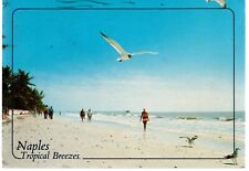 Postcard Tropical Breezes Naples Florida USA 1989 Posted Vintage Good Shape picture