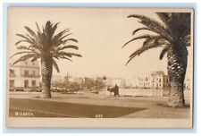 c1920's View Of Two Palms Bizerta Tunisia RPPC Photo Unposted Vintage Postcard picture