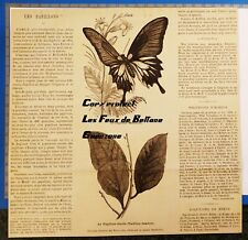 MEMNON BUTTERFLIES BUTTERFLY SHEET KALLIMA INACHIS engraving 1877 document print  picture