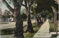 CORONA, California Hand-Colored Postcard 