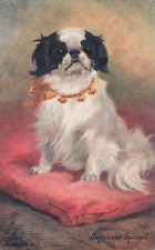 LP37 Japanese Chin Spaniel Dog Published by Tuck Vintage Postcard picture
