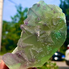 1.16LB Natural rare transparent green cubic fluorite crystal sample/China picture