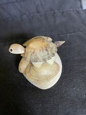 Seashell Turtle with Bobbing Head and Tail Vintage picture