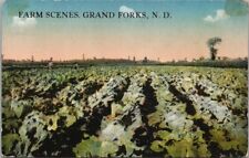 Vintage 1912 North Dakota Postcard 