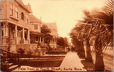Santa Rosa, California Palm Trees on 4th St., Large Old Houses, 2214-A33 picture