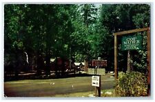 c1960's Camp Mather Recreation & Park Park San Francisco California CA Postcard picture