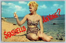 Boca Raton, Florida - A Beautiful Florida Seashell - Vintage Postcards - Posted picture