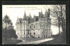 CPA Brain-sur-Longenée, Château de Montergon  picture